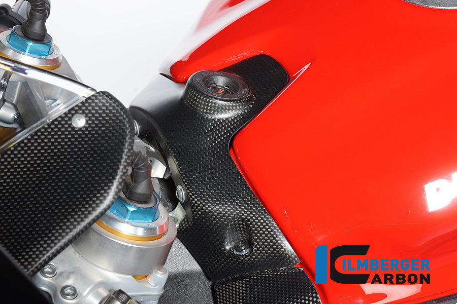 Ilmberger Carbon Ignition Swich Cover Matt Ducati Panigale 1299 (From 2015)