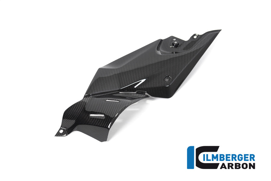 Ilmberger Carbon Side Panel Under The Tank Left BMW R 1250 R