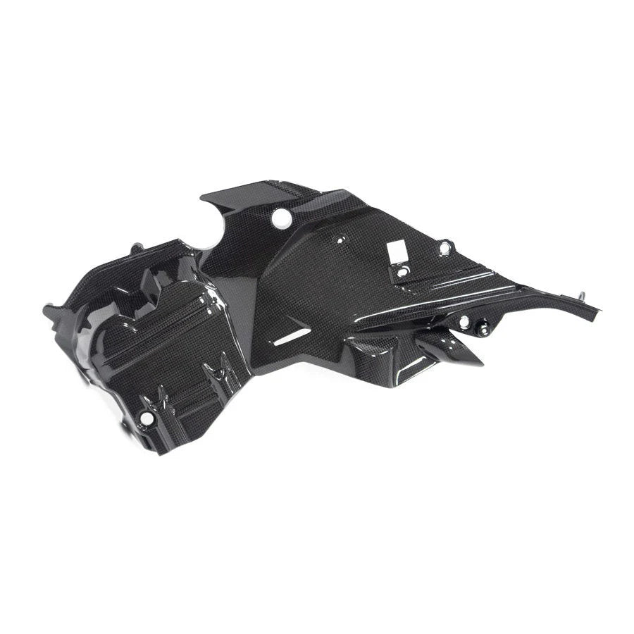 Ilmberger Carbon Fiber Right Side Engine Cover Ducati Diavel V4