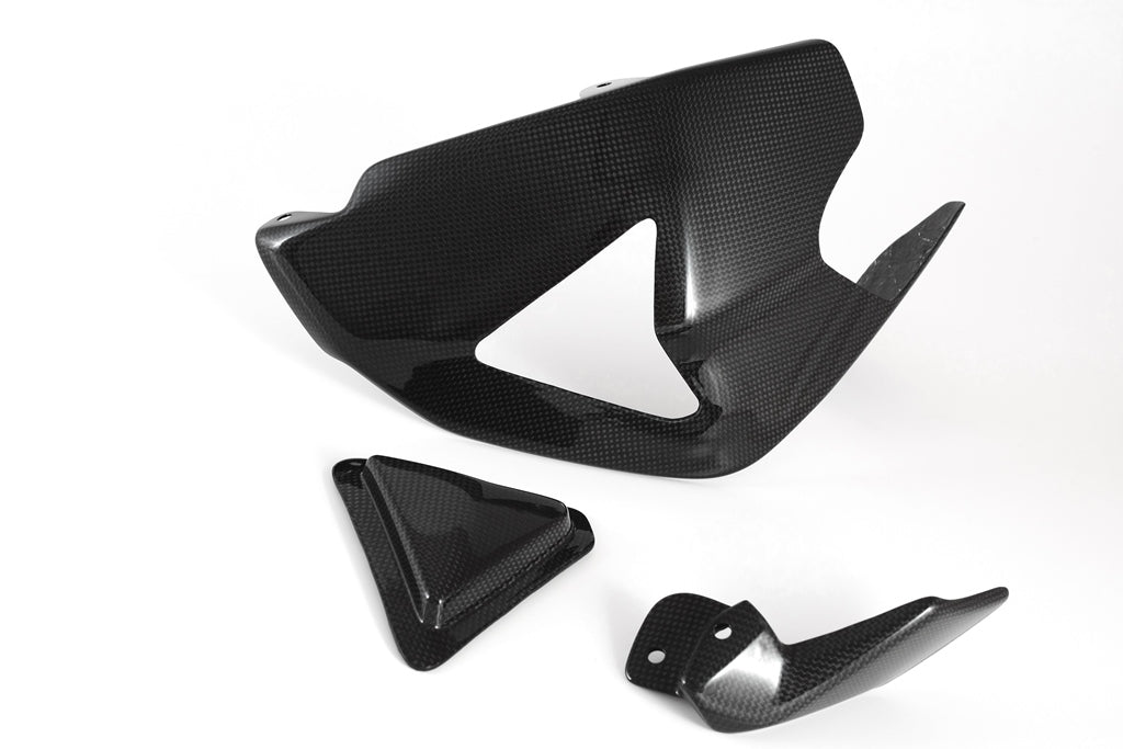 Fullsix Carbon SWINGARM GUARD With SLIDER And SHARK FIN