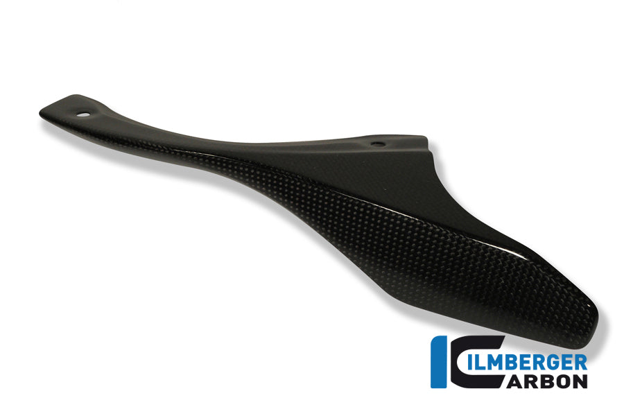 Ilmberger Carbon Chain Guard On The Swingarm Carbon