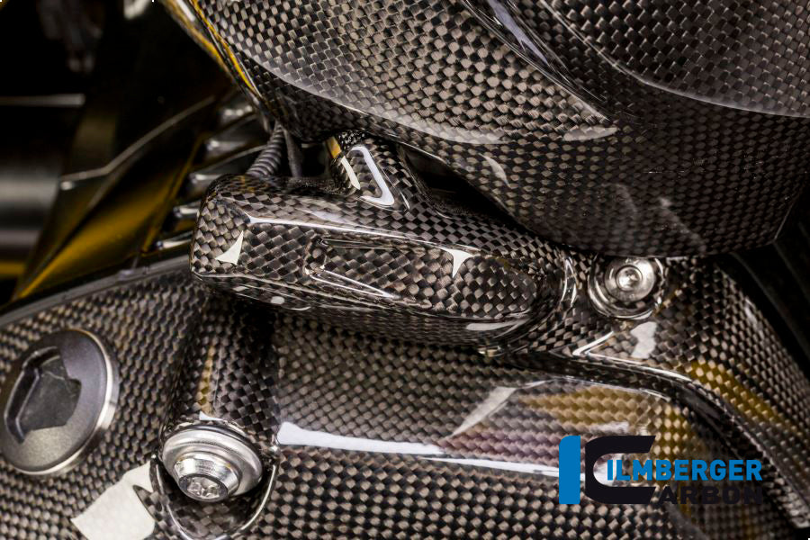 Ilmberger Carbon Injector Cover Right Carbon - BMW R 1200 GS (LC) From 2013 To 2015
