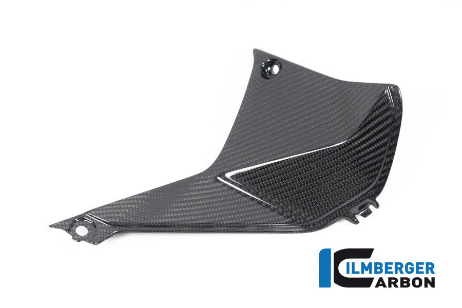 Ilmberger Carbon Cover Near The Instrument Right Side BMW R 1250 RS
