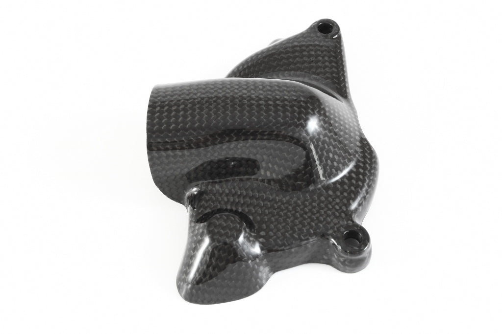 Fullsix Carbon Water Pump Protection Guard