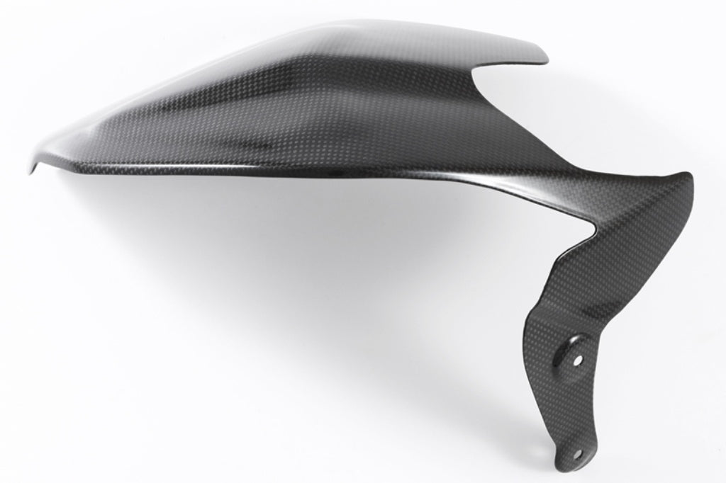 Fullsix Carbon Swingarm Guard - Guard