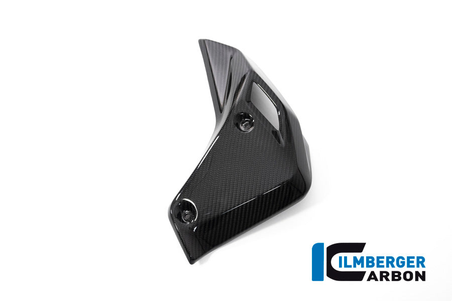 Ilmberger Carbon Watercooler Cover Right Side BMW R 1250 R