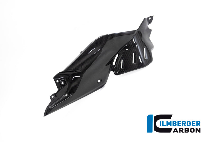 Ilmberger Carbon Side Panel Under The Tank Right BMW R 1250 R