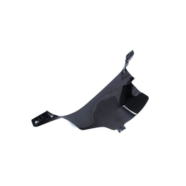 Ilmberger Carbon Air Tube Cover Set For Ducati Panigale V4 V4S Speciale