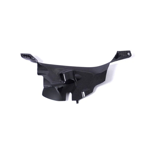 Ilmberger Carbon Air Tube Cover Set For Ducati Panigale V4 V4S Speciale