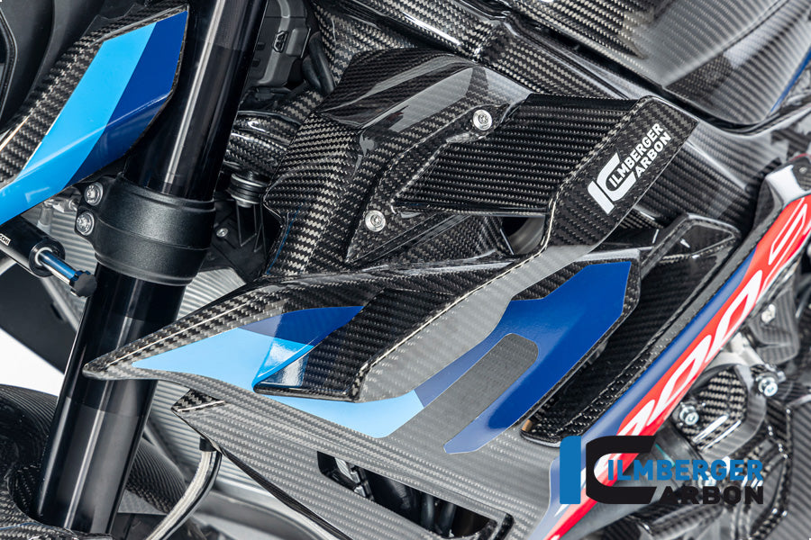 Ilmberger Carbon Winglet Left BMW M1000R 2023