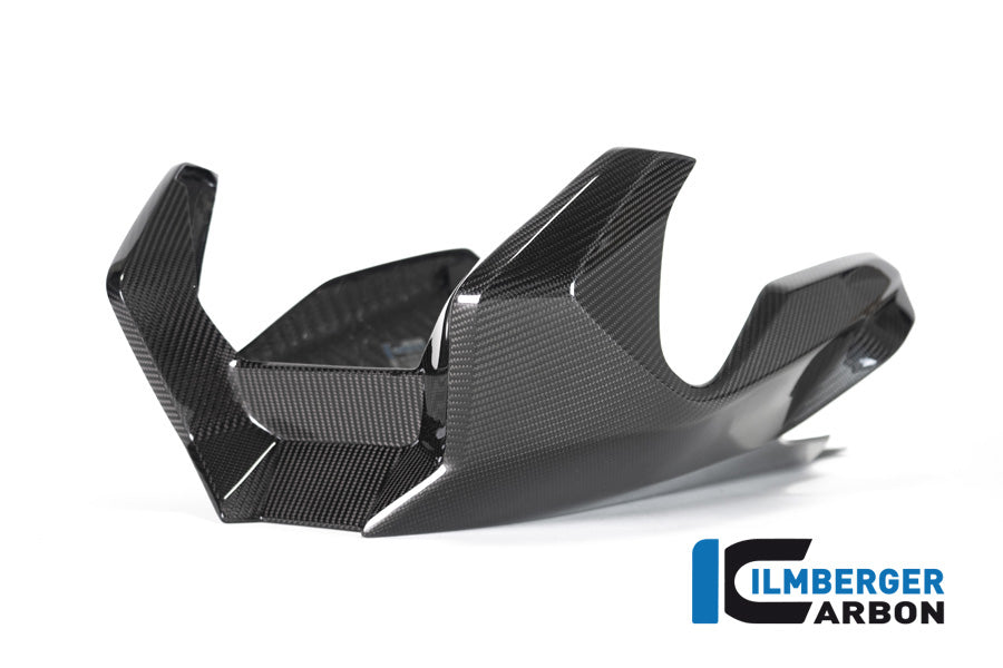 Ilmberger Carbon Bellypan BMW R 1250 R (LC) 2019