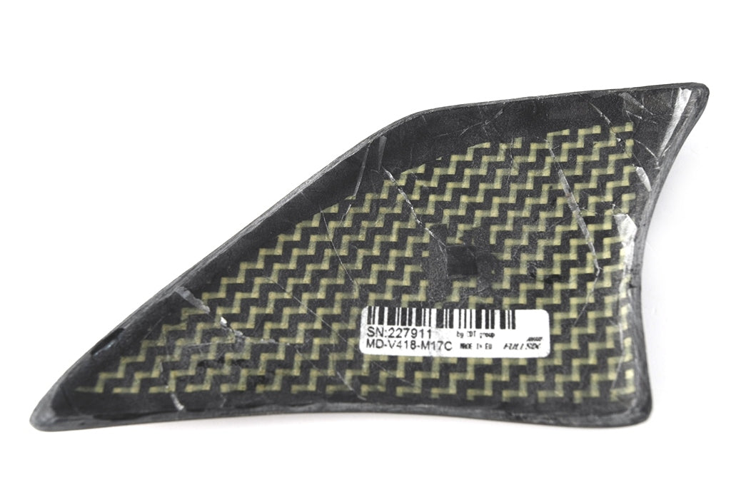 Fullsix Carbon Swingarm Guard - Slider