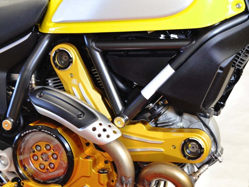 Ducabike DBK CDSCRA01 Timing Belt Cover - GOLD-BLACK