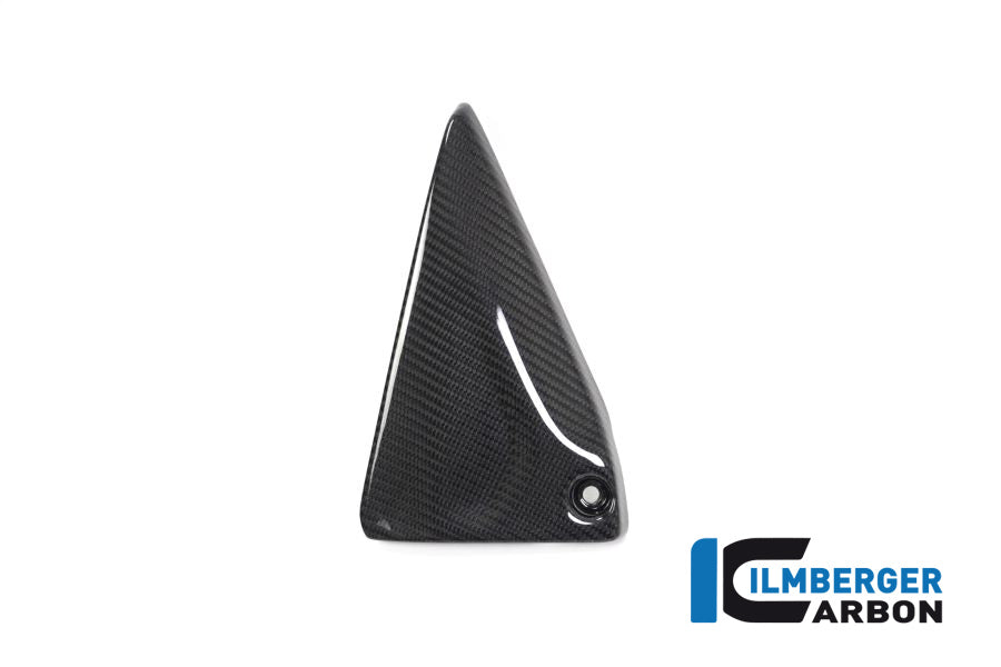 Ilmberger Carbon Frame Triangle Cover Left Side BMW R 1250 GS / R 1250 R And RS