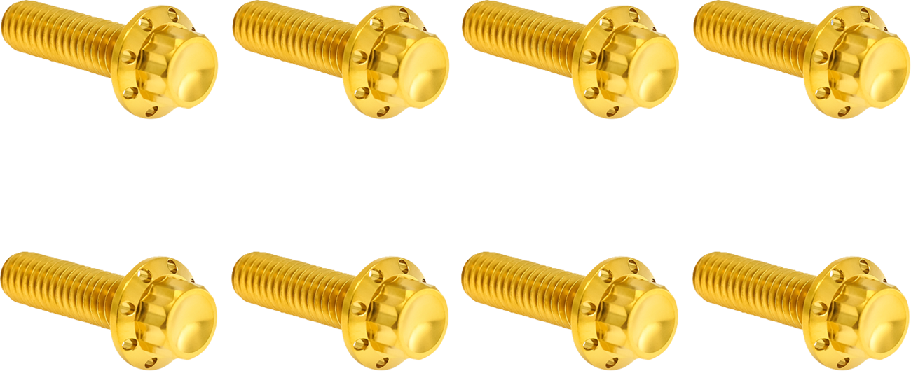 Arlen NESS Transmission Trap Door Titanium 12-Point Bolt Kit — For M8 Models