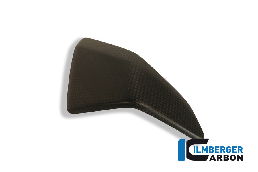 Ilmberger Carbon Left Side Fairing Insert Carbon
