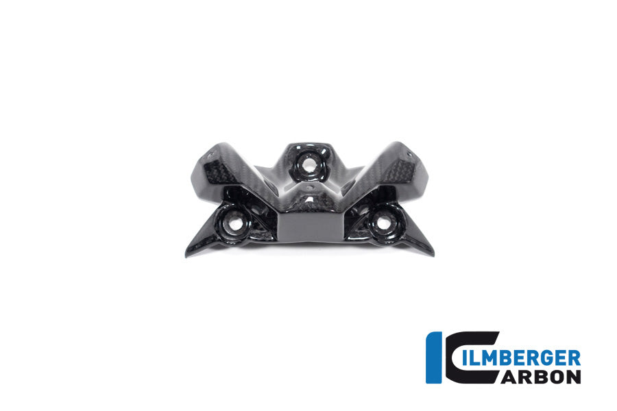 Ilmberger Carbon Windshield BMW S 1000 R MY From 2021 / M 1000 R MY From 2023