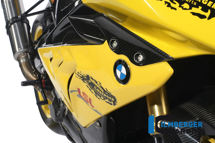 Ilmberger Carbon Fairing Side Panel Racing 2012 Carbon