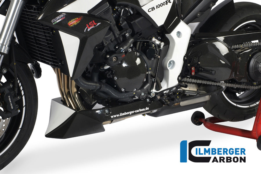Ilmberger Carbon Alternator Cover Carbon