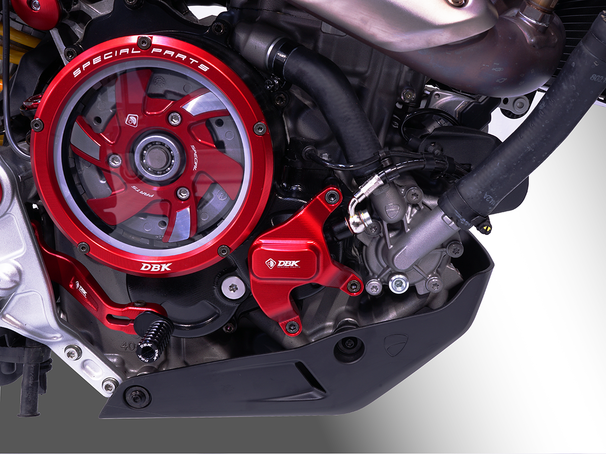 Ducabike DBK SLI18 HM 698 Mono Engine Protection Kit