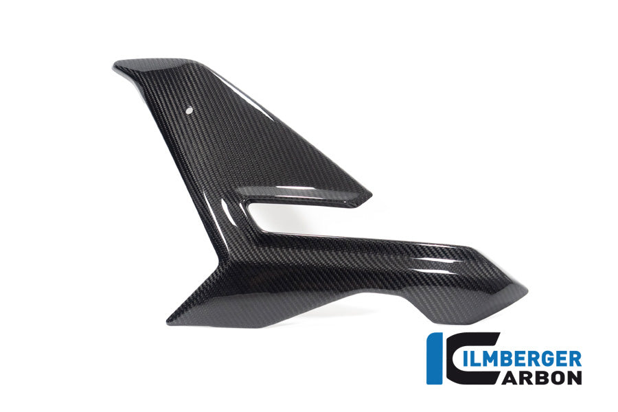 Ilmberger Carbon Fairing Side Panel Left BMW M 1000 R 2023