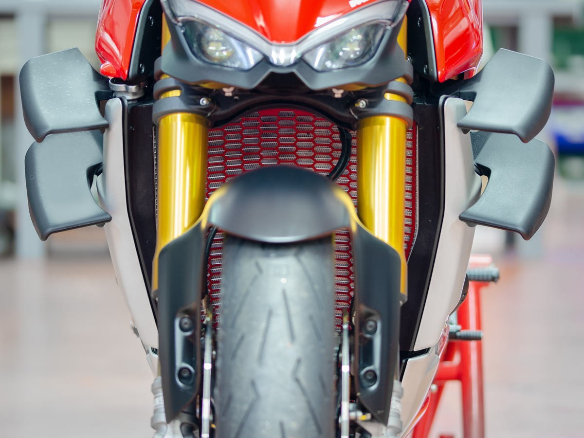 Ducabike DBK Gr09 SFV4 H2O Radiator Guard