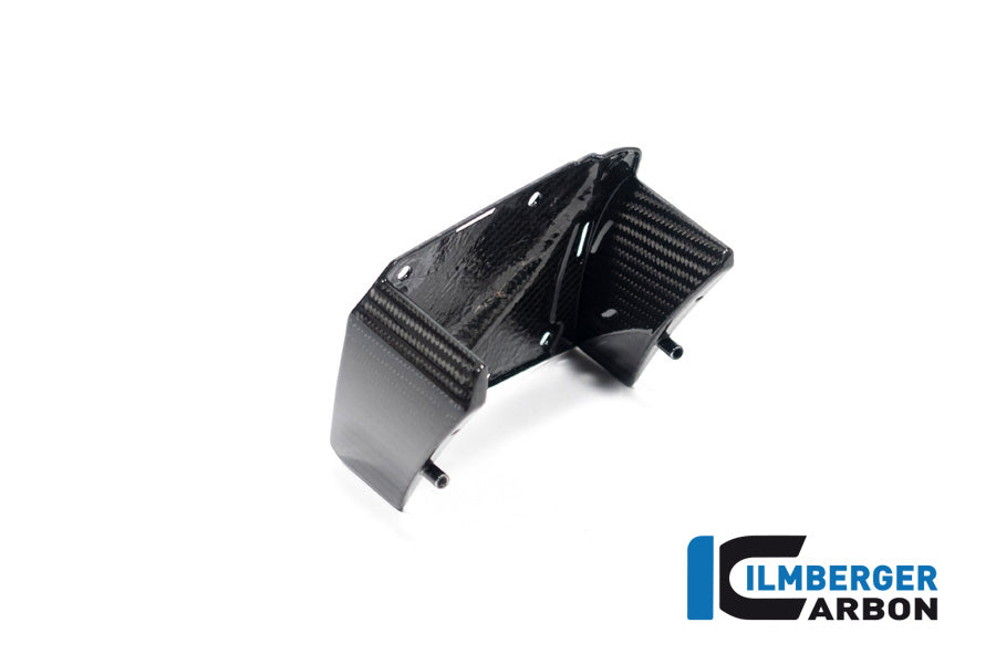 Ilmberger Carbon Inner Wing Right BMW M 1000 XR 2024