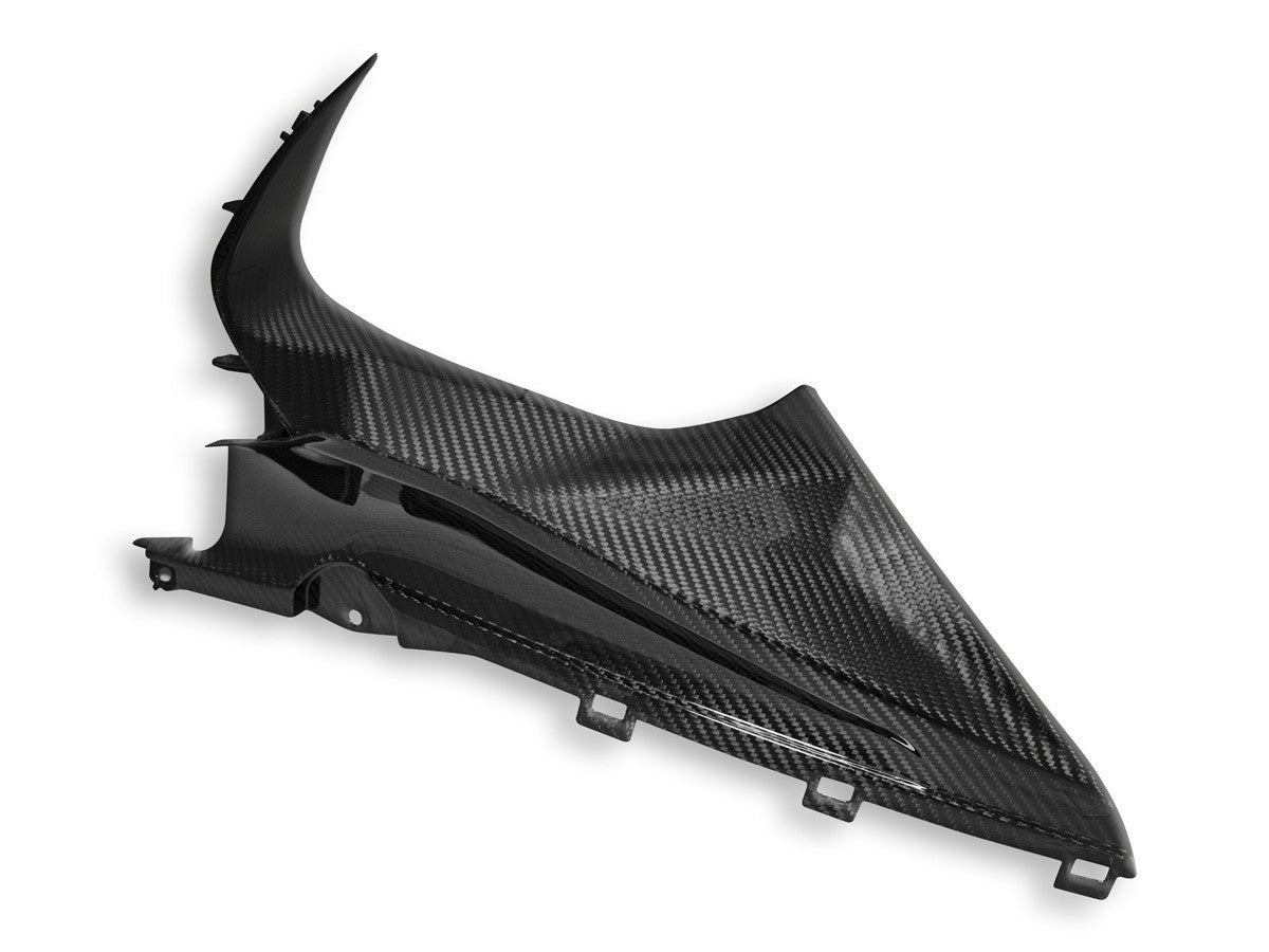 Ducabike DBK CRB113L BMW S1000RR Glossy Carbon Infil Panel