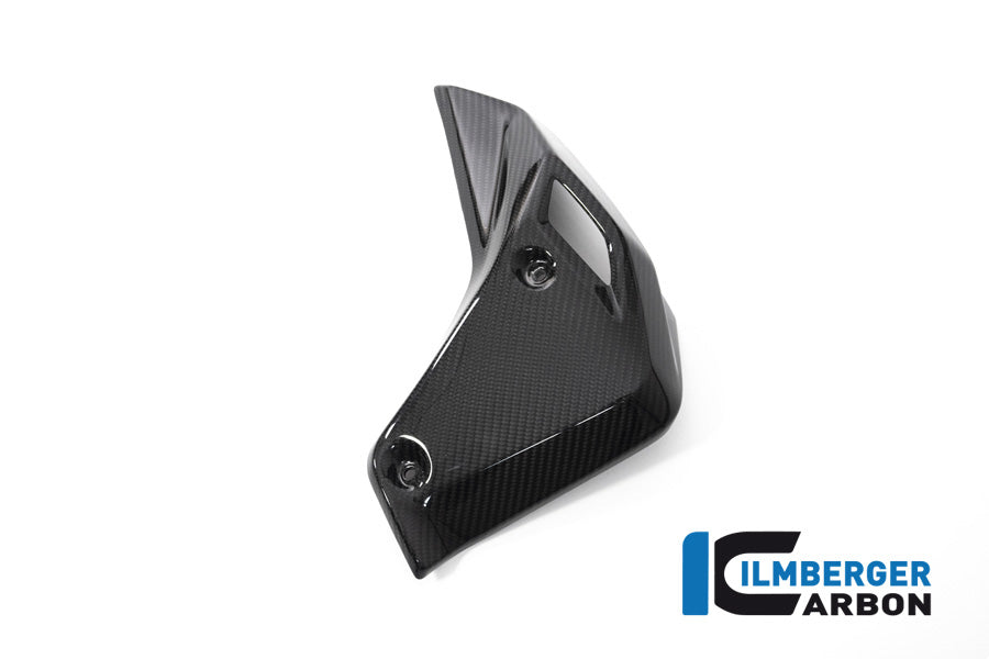 Ilmberger Carbon Watercooler Cover Right Side BMW R 1250 R
