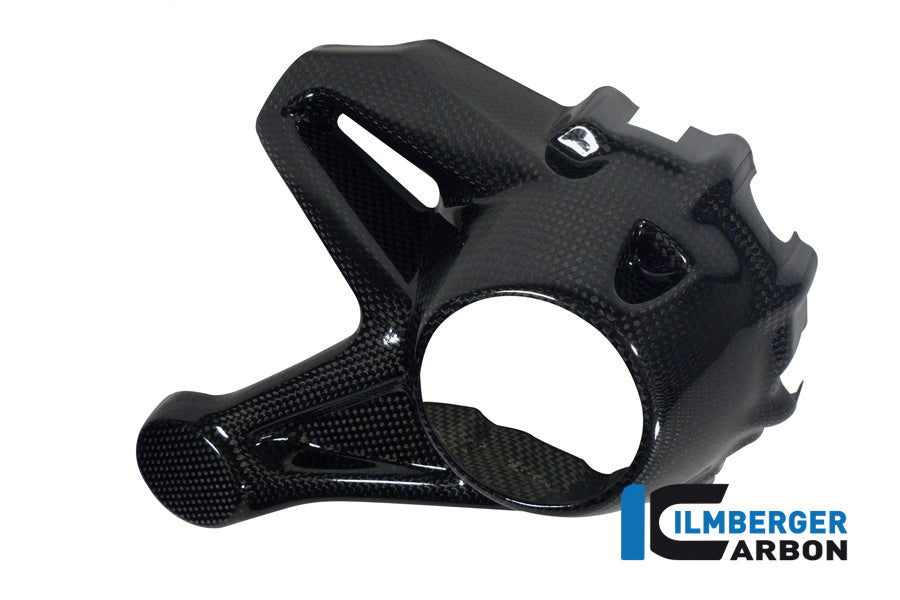 Ilmberger Carbon Cardan Housing Cover (Mounting Without Rear Splash Guard) Carbon For The Water-Cooled BMW R 1200
