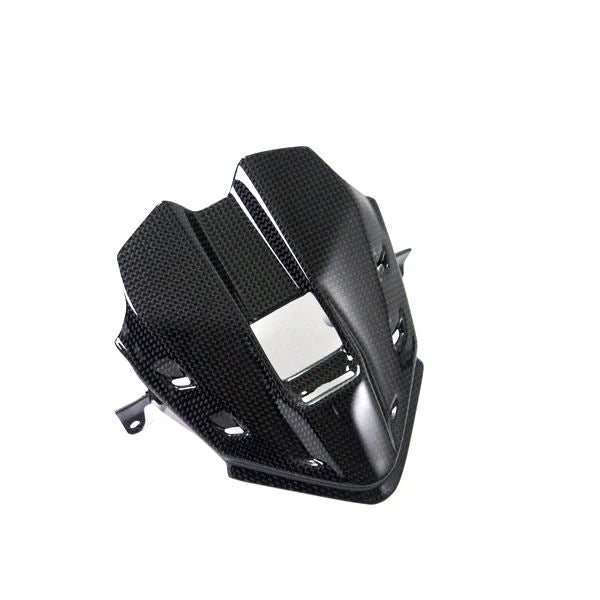 Ilmberger Carbon Instrument Cluster Dash Cover Ducati Panigale V4 V4S V4R Speciale