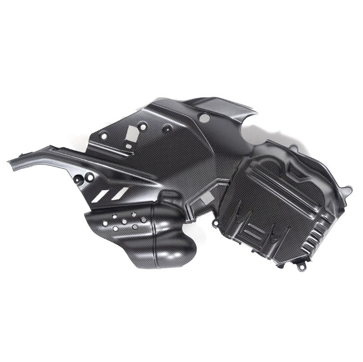 Ilmberger Carbon Fiber Left Side Engine Cover Ducati Diavel V4