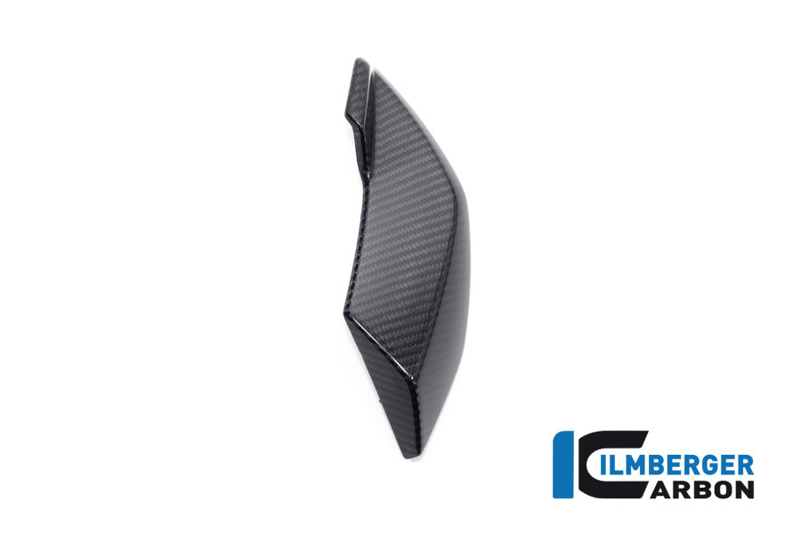 Ilmberger Carbon Side Cover Headlight Left Side BMW S 1000 R MY From 2021 / M 1000 R MY From 2023