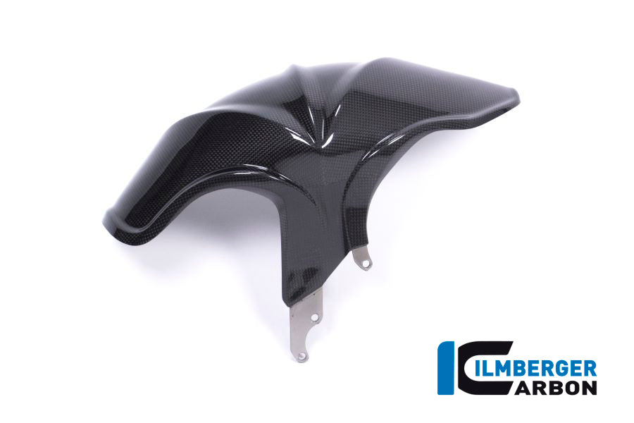 Ilmberger Carbon Rear Fender BMW R 1200 R/RS '18