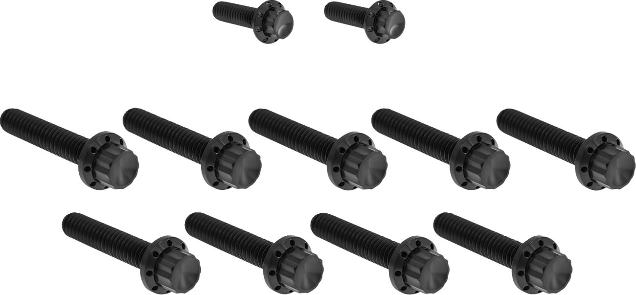 Arlen NESS Bolt Kit - Cam Cover/Point Cover - Titanium - 12-Point - Black