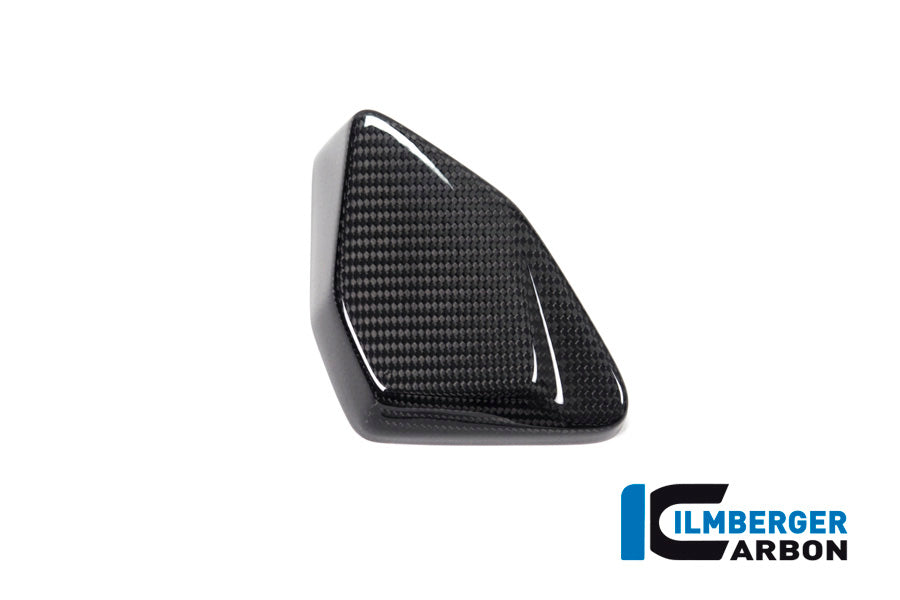 Ilmberger Carbon ESA Box Cover R 1250 GS