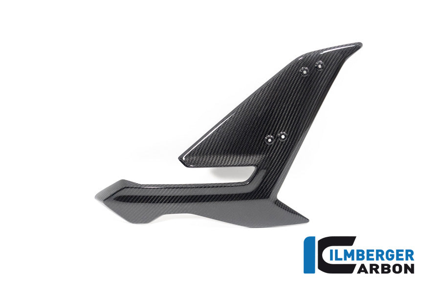 Ilmberger Carbon Side Fairing Right Side BMW S 1000 R MY From 2021