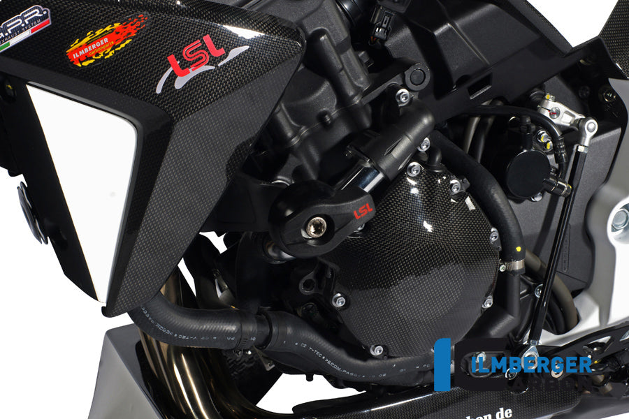 Ilmberger Carbon Alternator Cover Carbon