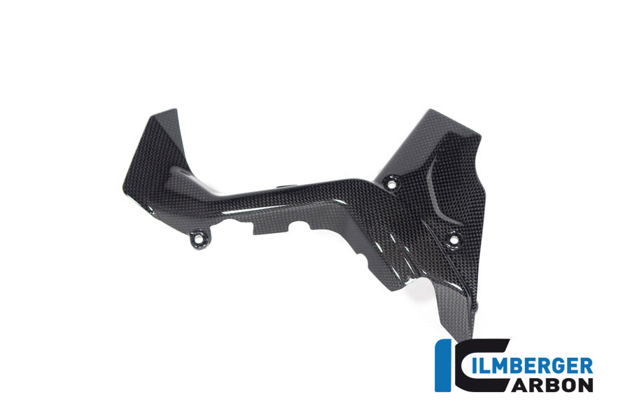 Ilmberger Carbon Sprocket Cover Ducati Diavel V4 From 2023 - Gloss