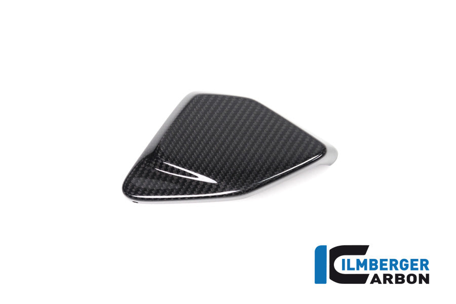 Ilmberger Carbon ESA Box Cover R 1250 GS