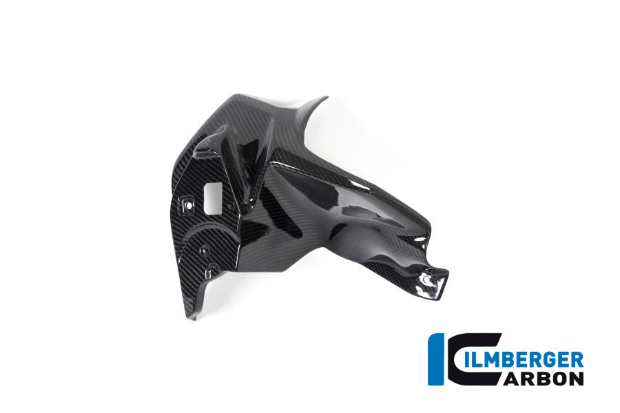 Ilmberger Carbon Airvent Cover Left Side BMW R 1250 GS From 2017