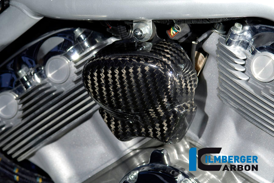 Ilmberger Carbon Horn Cover Carbon For Harley-Davidson V Rod