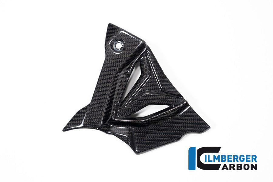 Ilmberger Carbon Sprocket Cover BMW S 1000 XR From MY 2020
