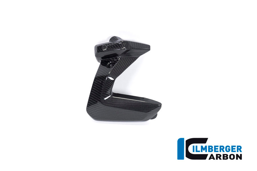 Ilmberger Carbon Spark Plug Cover Right Side BMW R 1250 GS / R 1250 R, And RS