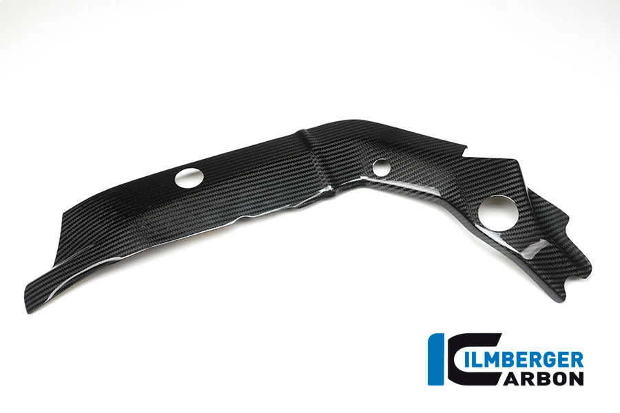 Ilmberger Carbon Frame Cover Left BMW S1000 XR Year 2015-2019