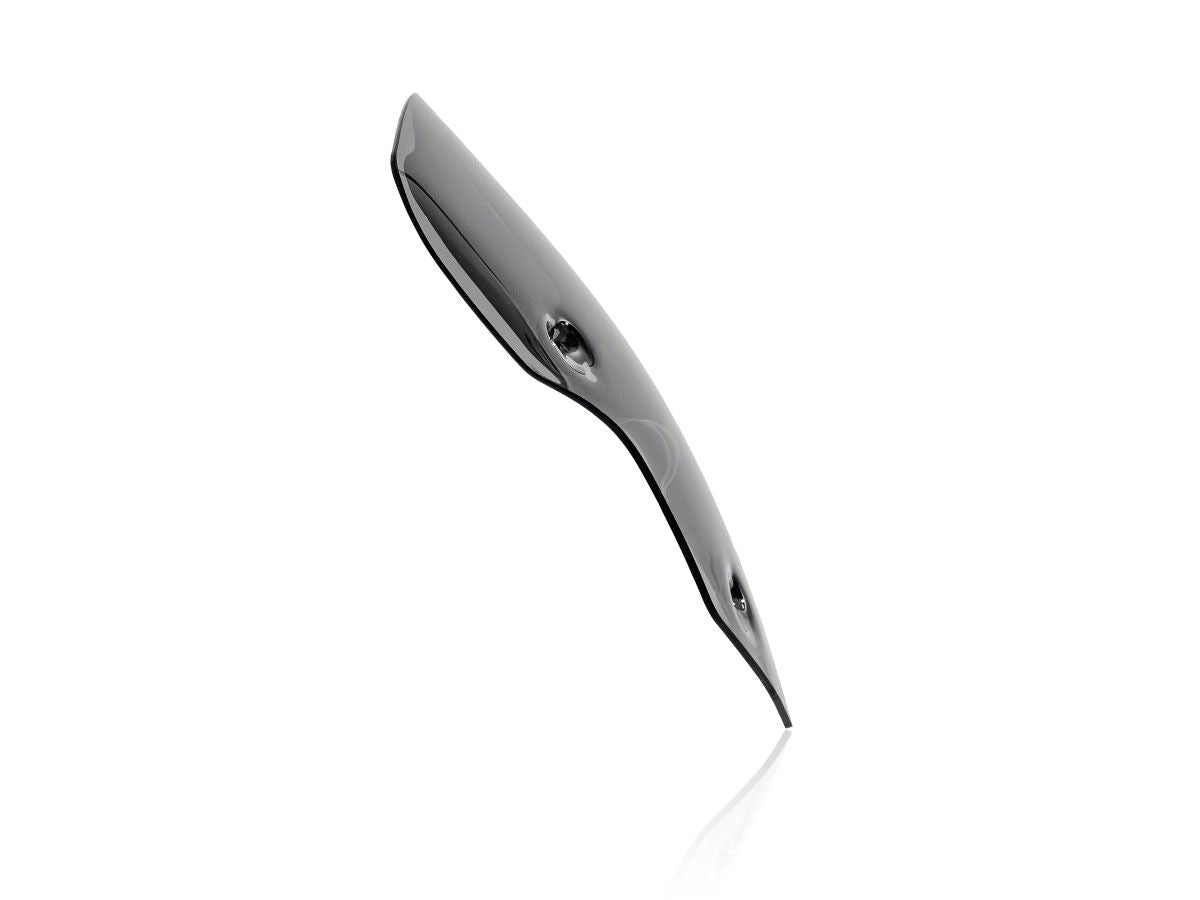WRS Sport Windscreen Triumph Tiger 850 / 900 2020-2026