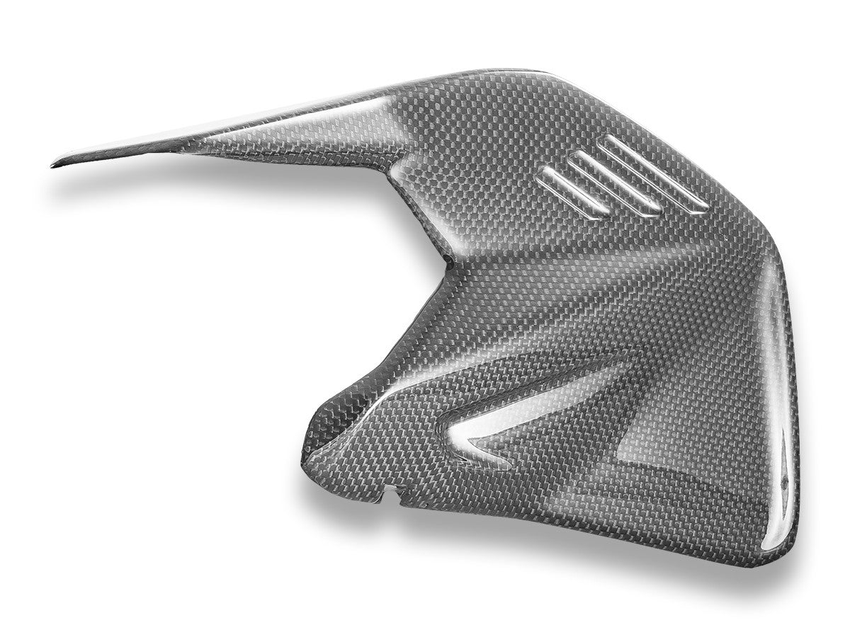 Ducabike DBK CRB234L PANIGALE/SF V4 MY25 Glossy Carbon Swingarm Protector