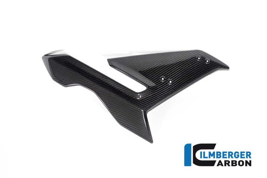 Ilmberger Carbon Side Fairing Right Side BMW S 1000 R MY From 2021