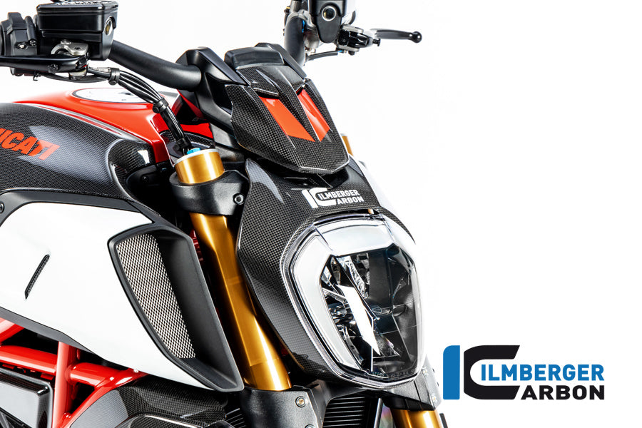 Ilmberger Carbon Instrument Cover Ducati Diavel 1260 - Gloss