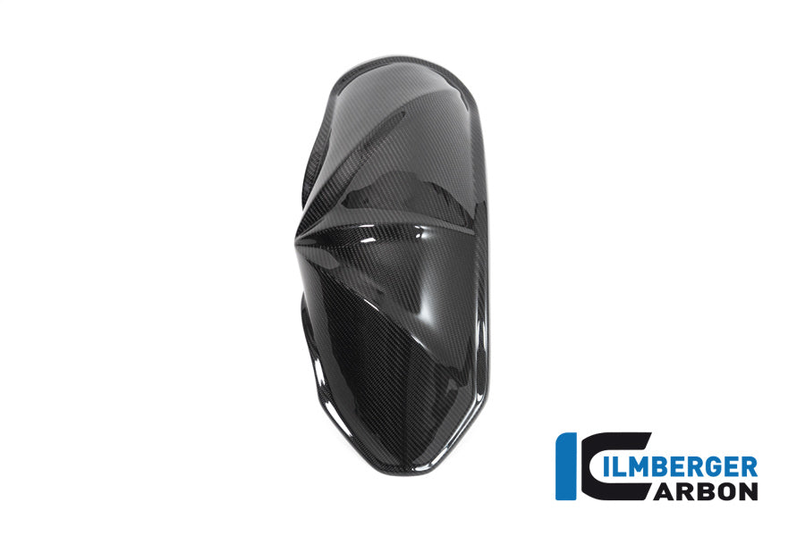 Ilmberger Carbon Rear Hugger BMW R 1250 R (LC) 2019